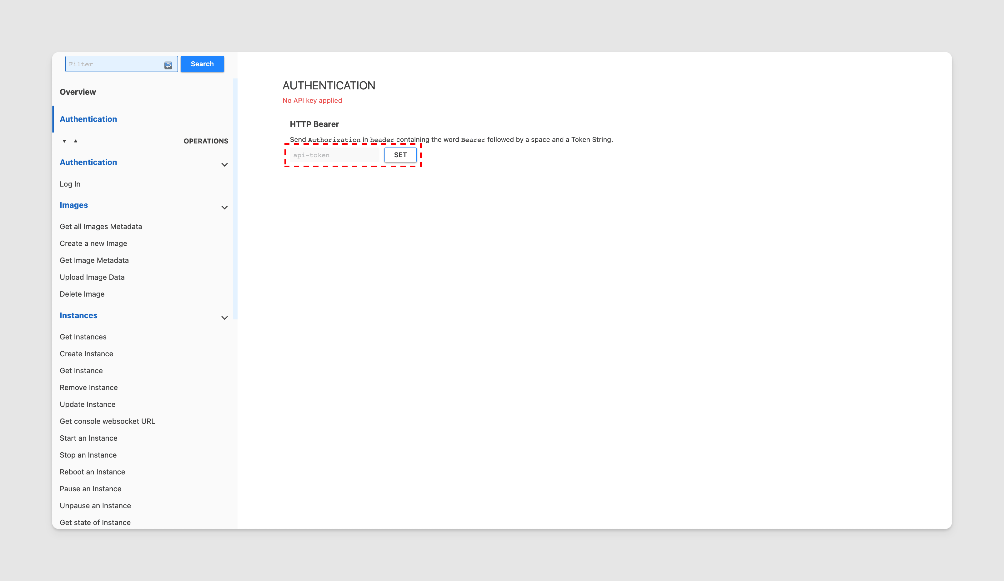 Paste the auth token