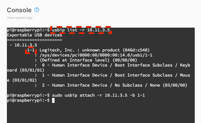 USBIP list on RPi4 Desktop