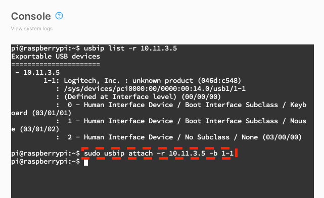 USBIP attach on RPi4 Desktop